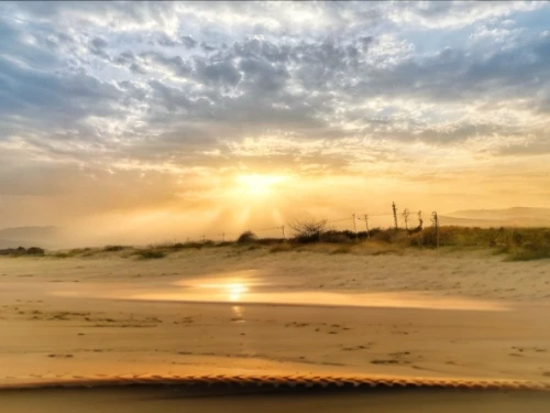 libyan desert,dunes national park,san dunes,dune sea,sunrise beach,desert desert landscape,capture desert,baja california sur,dune landscape,golden sands,desert landscape,beach landscape,maspalomas,agadir,merzouga,beach scenery,namibia,oman,desert background,mojave desert