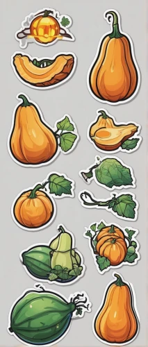 fruit icons,fruits icons,vegetable outlines,gourds,decorative squashes,food icons,melons,pumpkins,oranges,vegetables,mini pumpkins,butternut squash,gourd,veggies,orange slices,decorative pumpkins,pumkins,squash,autumn pumpkins,acorn squash,Unique,Design,Sticker