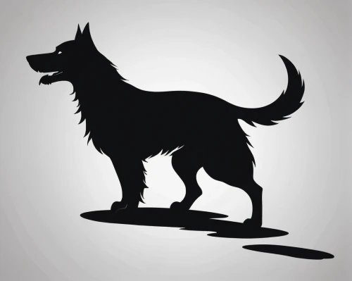 scottish terrier,affenpinscher,schipperke,dog illustration,cairn terrier,belgian shepherd,belgian shepherd dog,black shepherd,australian terrier,belgian shepherd malinois,schutzhund,gsd,skye terrier,giant schnauzer,canidae,black german shepherd,animal silhouettes,akita,eurasier,patterdale terrier,Illustration,Black and White,Black and White 33