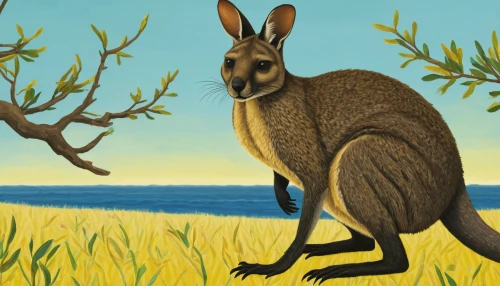 macropus giganteus,macropus rufogriseus,macropodidae,marsupial,eastern grey kangaroo,kangaroo,rednecked wallaby,cangaroo,bennetts wallaby,wallaby,red kangaroo,australian wildlife,kangaroos,kangaroo mob,wallabies,australian bird,merops ornatus,australopitico,chroicocephalus ridibundus,aardvark,Art,Artistic Painting,Artistic Painting 25