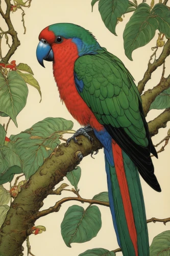 scarlet macaw,rosella,macaws of south america,tropical bird climber,macaw,macaw hyacinth,beautiful macaw,tropical bird,tropical birds,an ornamental bird,crimson rosella,blue macaw,rainbow lorikeet,macaws,lorikeet,quaker parrot,blue parrot,bird painting,light red macaw,quetzal,Illustration,Black and White,Black and White 28