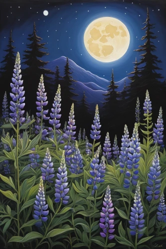 lupines,lupine,moonlit night,lupins,purple moon,carol colman,night scene,moonlit,salt meadow landscape,blue moon,moon night,alpine meadows,purple landscape,mountain meadow,spruce forest,carol m highsmith,moonflower,moonlight,larkspur,moon and star background,Illustration,Realistic Fantasy,Realistic Fantasy 18