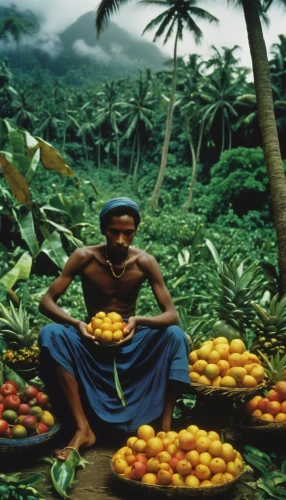 palm oil,cameroon,tropical fruits,ghana,democratic republic of the congo,dominica,haiti,liberia,fruit fields,collecting nut fruit,green congo,jamaica,tropical chichewa,banana trees,fruit market,breadfruit,forest workers,benin,tropical fruit,angolans,Photography,Black and white photography,Black and White Photography 14