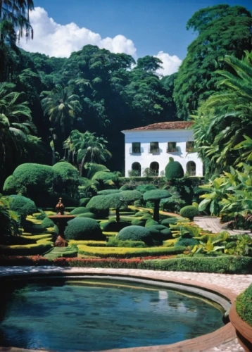 the old botanical garden,gardens,water palace,hacienda,garden of the fountain,palace garden,villa cortine palace,naples botanical garden,botanical garden,botanical gardens,the azores,royal botanic garden,parque estoril,azores,garden of plants,landscape designers sydney,palm house,the palm house,english garden,garden of eden,Photography,Black and white photography,Black and White Photography 13