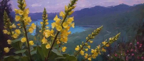 lupines,lilies of the valley,lupins,lupine,meadow in pastel,yellow iris,purple loosestrife,late goldenrod,fireweed,the valley of flowers,alpine flowers,irises,flower painting,wild iris,wildflowers,foxgloves,freesias,mountain meadow,snapdragon,alpine meadow,Conceptual Art,Oil color,Oil Color 11