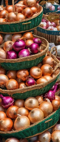 onion bulbs,market vegetables,bulgarian onion,still life with onions,garlic bulbs,colorful eggs,colorful sorbian easter eggs,persian onion,colored eggs,eggplants,red garlic,shallot,red onion,chinese garlic,colorful vegetables,white onions,eggplant,romeritos,bocconcini,vegetable market,Photography,Fashion Photography,Fashion Photography 04