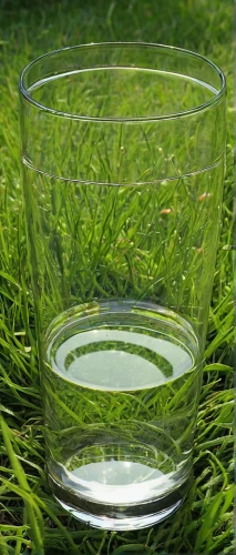 water glass,drinking glass,drinking glass summer,cocktail glass,glass cup,tea glass,an empty glass,double-walled glass,citronella,dew on grass,drinking glasses,a full glass,salt glasses,a glass of,glass picture,glas,empty glass,waldmeister,water cup,green water,Illustration,Children,Children 02