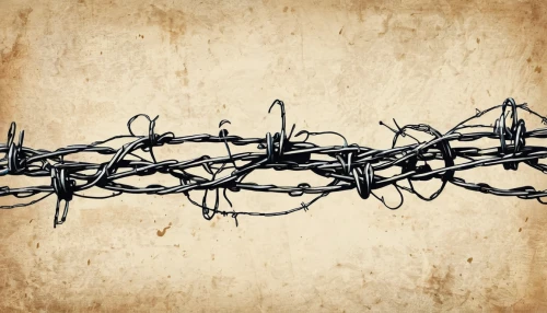 barbed wire,ribbon barbed wire,barbwire,crown of thorns,barb wire,barbed,wire fence,crown-of-thorns,link building,wire entanglement,bind,iron chain,persecution,jacob's ladder,carmelite order,chain fence,crossed,emancipation,iron rope,chainlink,Illustration,Vector,Vector 21