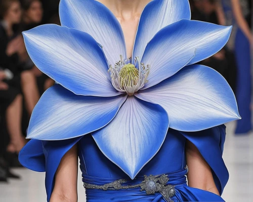 flower of water-lily,blue flower,gentiana,blue bonnet,blue petals,fabric flower,haute couture,amaryllis,blue flowers,himilayan blue poppy,gentians,fabric flowers,lotus with hands,blue anemone,gentian,flowers in envelope,windflower,elven flower,cobalt blue,blue flax,Photography,Fashion Photography,Fashion Photography 10