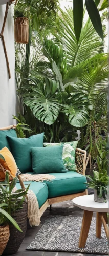 outdoor sofa,tropical greens,garden design sydney,tropical jungle,tropical house,outdoor furniture,fan palm,green living,landscape designers sydney,house plants,landscape design sydney,palm fronds,monstera deliciosa,exotic plants,patio furniture,monstera,hanging plants,palm leaves,bamboo plants,chaise lounge,Photography,Documentary Photography,Documentary Photography 18