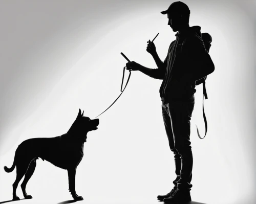 boy and dog,dog illustration,dog walker,dog leash,malinois and border collie,companion dog,service dogs,malinois,silhouette art,schutzhund,belgian shepherd malinois,service dog,leash,manchester terrier,dog line art,leashed,dog training,human and animal,obedience training,dog whistle,Illustration,Black and White,Black and White 31