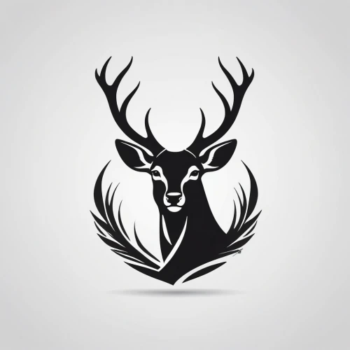 dribbble logo,dribbble icon,dribbble,deer illustration,bucks,buck antlers,stag,elk,buffalo plaid antlers,manchurian stag,antler velvet,red deer,antler,whitetail buck,deer bull,whitetail,deer,blackbuck,antlers,buck,Unique,Design,Logo Design