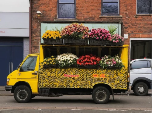 flower cart,flower car,flower delivery,flower box,flowerbox,flower boxes,flower stand,advertising vehicle,flower shop,fruit car,delivery truck,container plant,greengrocer,volkswagen delivery,daf daffodil,floral corner,flower booth,corner flowers,compact van,floral bike,Conceptual Art,Sci-Fi,Sci-Fi 08