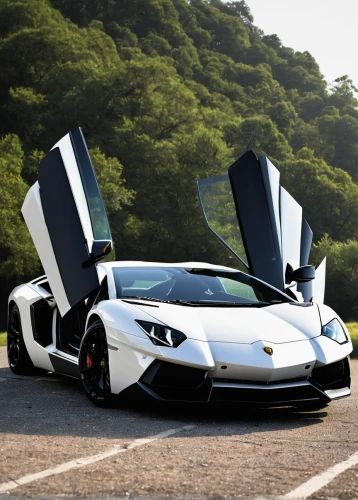 aventador,lamborghini aventador s,lamborghini aventador,gull wing doors,supercars,gallardo,luxury sports car,luxury cars,super car,personal luxury car,supercar car,super cars,luxury car,lamborgini,lamborghini reventón,lamborghini estoque,sportscar,supercar,mclaren automotive,lamborghini,Illustration,Black and White,Black and White 17