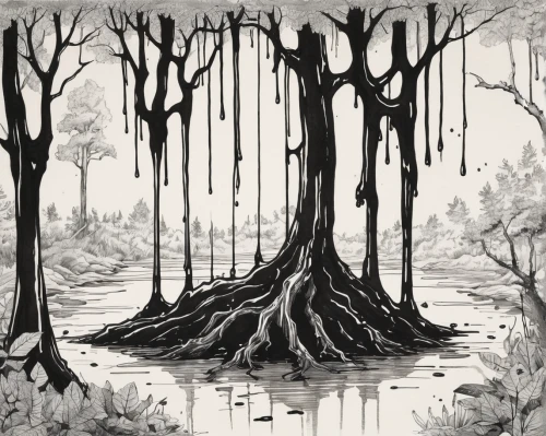 swampy landscape,cartoon forest,halloween bare trees,swamp,haunted forest,ghost forest,the roots of trees,tree grove,forests,the forests,bare trees,forest tree,the forest,bayou,elven forest,the roots of the mangrove trees,deforested,old-growth forest,deciduous forest,riparian forest,Illustration,Black and White,Black and White 34