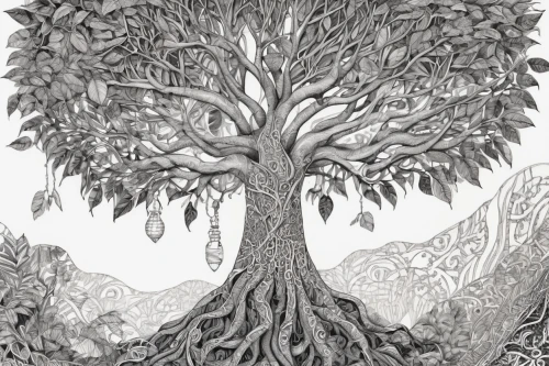 birch tree illustration,trees with stitching,flourishing tree,the branches of the tree,celtic tree,tree of life,the roots of the mangrove trees,oak tree,cardstock tree,tree canopy,vinegar tree,olive tree,tree,the japanese tree,bodhi tree,a tree,hand-drawn illustration,fig tree,ornamental tree,forest tree,Illustration,Black and White,Black and White 11