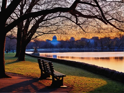park bench,outdoor bench,benches,wooden bench,bench,red bench,man on a bench,kensington gardens,evening lake,district of columbia,tidal basin,stone bench,tranquility,row of trees,evening atmosphere,bench chair,peacefulness,centennial park,riverside park,druid hill park,Illustration,American Style,American Style 08