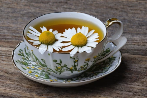 camomile,chamomile,camomile flower,chrysanthemum tea,camomile tea,flower tea,tea flowers,goldenrod tea,blooming tea,scented tea,tanacetum balsamita,teacup arrangement,herb tea,vintage tea cup,darjeeling tea,porcelain tea cup,chamomile in wheat field,dandelion coffee,herbal tea,white tea,Illustration,American Style,American Style 14