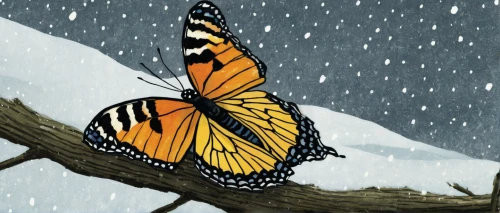 monarch butterfly,butterfly background,butterfly clip art,snowy still-life,isolated butterfly,butterfly isolated,the snow falls,orange butterfly,butterflay,snow scene,ulysses butterfly,butterfly vector,colored pencil background,butterfly,tropical butterfly,illustration,monarch,wintry,winter storm,butterflies,Illustration,Paper based,Paper Based 21