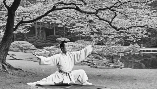 daitō-ryū aiki-jūjutsu,aikido,shorinji kempo,taijiquan,japanese martial arts,sōjutsu,baguazhang,taekkyeon,qi gong,japanese woman,dobok,the japanese tree,kenjutsu,battōjutsu,geisha,japanese culture,shidokan,geisha girl,japanese cherry,japanese column cherry,Photography,Black and white photography,Black and White Photography 13