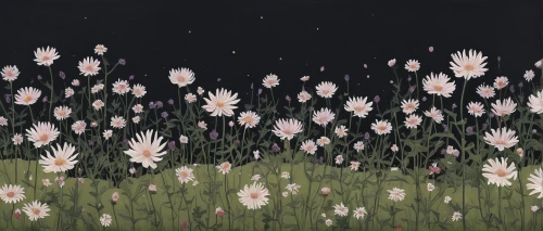 wild tulips,blooming field,pink daisies,scattered flowers,field of flowers,meadow in pastel,blooming grass,meadow flowers,cotton grass,spring meadow,clover meadow,small meadow,flower meadow,flower field,cosmos field,flowers field,grass lily,meadow daisy,falling flowers,grass blossom,Illustration,Abstract Fantasy,Abstract Fantasy 05