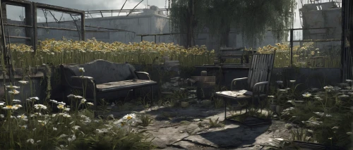 roof garden,greenhouse,dandelion hall,clove garden,lostplace,potted plants,the garden,poison plant in 2018,spring garden,garden shed,retirement home,abandoned place,overgrown,herbaceous,winter garden,abandoned,roof terrace,flower shop,backyard,flowering plants,Conceptual Art,Fantasy,Fantasy 33