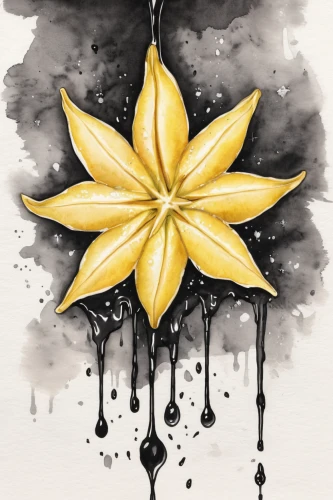 lotus art drawing,watercolor flower,star flower,magic star flower,watercolour flower,flower painting,star fruit,yellow petals,star anise,starflower,solar plexus chakra,watercolor floral background,flower of water-lily,gold flower,flower illustrative,rain lily,magnolia star,golden lotus flowers,yellow rose background,lotus png,Illustration,Black and White,Black and White 34