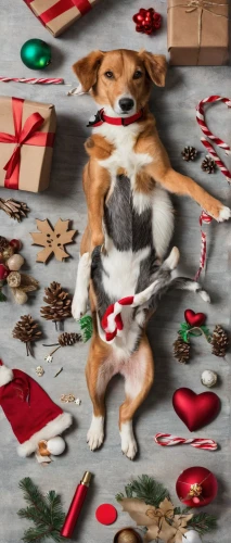 christmas animals,christmas photo,christmas pictures,christmas picture,christmas background,christmasbackground,christmas toys,christmas cards,christmas wallpaper,dog photography,gift tag,christmas tags,presents,beagle,gift wrapping,christmas packaging,raindeer,modern christmas card,christmas banner,christmas wrapping paper,Unique,Design,Knolling