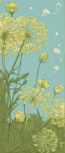 chamomile in wheat field,water dropwort,mayweed,dandelion background,meadow in pastel,fennel flower,illustration of the flowers,apiaceae,flowers png,chrysanthemum background,cow parsley,dandelion meadow,fennel,chamomile,dandelions,camomile flower,meadow plant,wood daisy background,field flowers,dandelion field,Illustration,Black and White,Black and White 02