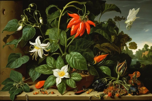 still life of spring,narcissus of the poets,bach flowers,the garden society of gothenburg,floral composition,still-life,floral ornament,flowering plants,robert duncanson,vegetables landscape,splendens,horticulture,medicinal plants,splendor of flowers,narcissus,florentine,summer still-life,floral arrangement,still life,the son of lilium persicum,Art,Classical Oil Painting,Classical Oil Painting 37