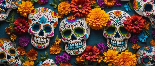 day of the dead paper,day of the dead frame,dia de los muertos,day of the dead,la calavera catrina,el dia de los muertos,sugar skulls,la catrina,day of the dead truck,day of the dead icons,calavera,catrina calavera,day of the dead skeleton,sugar skull,days of the dead,calaverita sugar,mexican culture,mexican tradition,skulls,day of the dead alphabet,Photography,General,Fantasy