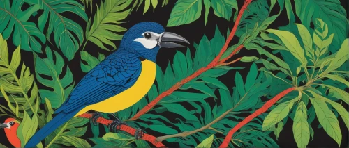 tropical birds,blue and gold macaw,tropical bird,tropical bird climber,blue parrot,keel-billed toucan,rosella,blue macaw,hyacinth macaw,toucans,chestnut-billed toucan,keel billed toucan,toco toucan,blue and yellow macaw,bird illustration,toucan,ecuador,an ornamental bird,yellow throated toucan,macaw hyacinth,Illustration,Black and White,Black and White 20