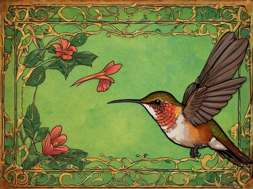 rufous hummingbird,humming bird,annas hummingbird,humming birds,rufus hummingbird,hummingbird,rufous,humming-bird,cuba-hummingbird,humming bird pair,floral and bird frame,flower and bird illustration,male rufous hummingbird,ruby-throated hummingbird,bird hummingbird,female rufous hummingbird,hummingbirds,allens hummingbird,ruby throated hummingbird,old world oriole,Illustration,American Style,American Style 12