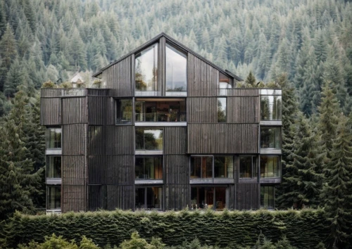 timber house,house in the forest,eco-construction,whistler,house in the mountains,house in mountains,cubic house,eco hotel,wooden house,wooden facade,the cabin in the mountains,aspen,vail,half-timbered,log home,metal cladding,half timbered,wooden construction,dunes house,frame house,Architecture,General,Modern,Elemental Architecture