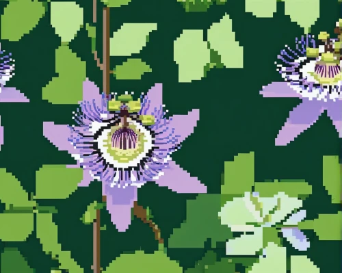 toad lily,floral mockup,passion flower family,flowers png,elven flower,flower banners,sword lily,nightshade plant,passiflora,columbines,trumpet creepers,three flowers,aquilegia japonica,dulcimer herb,jewel bugs,frame flora,forest flower,water lilies,small-leaf lilac,rocket flowers,Unique,Pixel,Pixel 01