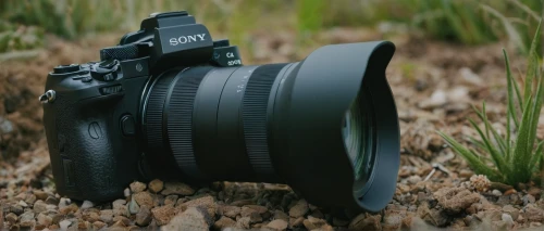 mirrorless interchangeable-lens camera,sony alpha 7,helios 44m-4,helios-44m-4,helios 44m,helios 44m7,canon 5d mark ii,digital slr,helios44,full frame camera,zenit-e,slr camera,canon ef 75-300mm f/4-5.6 iii,helios-44-2,zenit et,dslr,zoom lens,full frame,photography equipment,200d,Photography,Documentary Photography,Documentary Photography 01