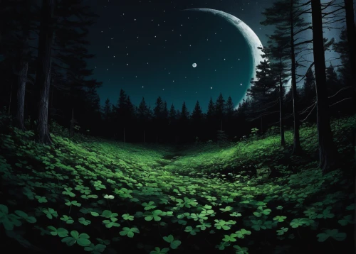 moon and star background,moonlit night,forest background,landscape background,night scene,moonlit,forest of dreams,green forest,forest landscape,lunar landscape,moon night,night sky,night stars,stars and moon,the night sky,nightscape,the night of kupala,background vector,starry night,hanging moon,Photography,Fashion Photography,Fashion Photography 09