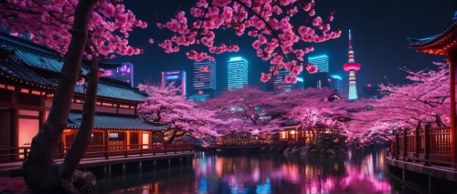 japanese sakura background,sakura trees,japanese cherry trees,sakura background,beautiful japan,the cherry blossoms,asian architecture,sakura blossom,cherry blossom japanese,cherry blossoms,suzhou,kyoto,sakura blossoms,sakura tree,japan's three great night views,japanese cherry blossoms,cherry blossom festival,cherry trees,japanese cherry blossom,japan landscape,Conceptual Art,Sci-Fi,Sci-Fi 26