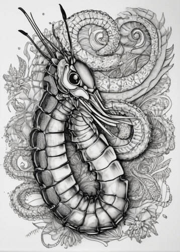 silkworm,chinese dragon,the zodiac sign pisces,oriental cockroach,wyrm,ornamental shrimp,scorpio,line art animal,sea horse,centipede,serpent,hippocampus,arthropod,hairfinned silverfish,seahorse,line art animals,copepod,muroidea,zooplankton,animal line art,Illustration,Black and White,Black and White 11