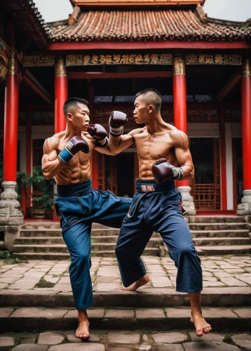 shaolin kung fu,lethwei,marine corps martial arts program,martial arts,sambo (martial art),haidong gumdo,japanese martial arts,baguazhang,wing chun,jeet kune do,wushu,kickboxer,taijiquan,mongolian wrestling,mixed martial arts,striking combat sports,kungfu,traditional sport,kung fu,eskrima,Conceptual Art,Graffiti Art,Graffiti Art 04