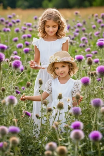 picking flowers,chive flowers,meadow flowers,verbena family,meadow play,barberton daisies,little girls walking,girl picking flowers,flowers field,girl and boy outdoor,lavender flowers,field flowers,field of flowers,wild flowers,girl in flowers,flower background,happy children playing in the forest,violet flowers,little girls,purple flowers,Photography,Fashion Photography,Fashion Photography 04