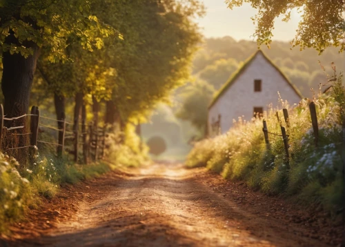 country road,rural landscape,farm landscape,home landscape,countryside,dirt road,rural,country side,the road,farm background,country-side,winding road,road forgotten,country cottage,landscape photography,long road,farmstead,winding roads,autumn morning,one autumn afternoon,Photography,General,Commercial