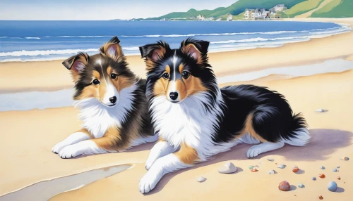 rough collie,smooth collie,shetland sheepdog tricolour,welsh cardigan corgi,shetland sheepdog,dog shetland sheepdog,cardigan welsh corgi,australian collie,collie,sheltie,corgis,puppy shetland sheepdog,australian shepherd,welsh corgi cardigan,english shepherd,three dogs,scotch collie,the pembroke welsh corgi,pembroke welsh corgi,beach landscape,Illustration,Retro,Retro 26