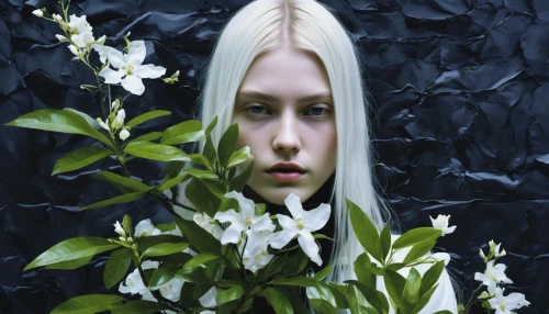 girl in flowers,elven flower,blue star magnolia,star magnolia,jasminum,yulan magnolia,moonflower,lilly of the valley,white lily,solomon's seal,starflower,white bush,white blossom,jasmin-solanum,lily of the field,white magnolia,kahila garland-lily,albino,overgrown,scent of jasmine,Photography,Fashion Photography,Fashion Photography 25
