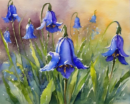 watercolour flowers,bluebells,watercolor flowers,watercolor blue,gentians,bluebell,harebell,watercolour flower,watercolour,gentiana,watercolor flower,watercolor,blue flowers,flower painting,watercolor painting,irises,blue petals,delphinium,watercolor background,beautiful bluebells,Illustration,Paper based,Paper Based 03