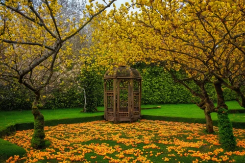 garden door,yellow garden,golden trumpet tree,secret garden of venus,flower tree,golden trumpet trees,giverny,wooden door,tabriz,fairy door,flower garden,wishing well,blossoming apple tree,tulip tree,flower carpet,landscape designers sydney,nature garden,flower clock,blanket of flowers,flowers fall,Art,Classical Oil Painting,Classical Oil Painting 17