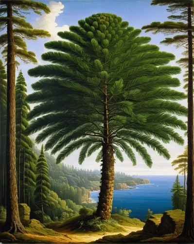norfolk island pine,araucaria,spruce-fir forest,tropical and subtropical coniferous forests,temperate coniferous forest,oregon pine,spruce forest,fir forest,coniferous forest,spruce trees,evergreen trees,columbian spruce,spruce tree,pine trees,forest landscape,tree ferns,conifers,singleleaf pine,pine-tree,fir trees,Art,Classical Oil Painting,Classical Oil Painting 25