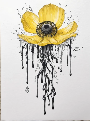 helianthus,sunflower coloring,sunflowers in vase,sunflower paper,sunflower,flower painting,sunflower lace background,sunflowers,pollinate,watercolor flower,flower art,flower drawing,watercolour flower,helianthus sunbelievable,flower illustrative,yolk flower,woodland sunflower,black-eyed susan,rudbeckia,stitched flower,Illustration,Black and White,Black and White 34