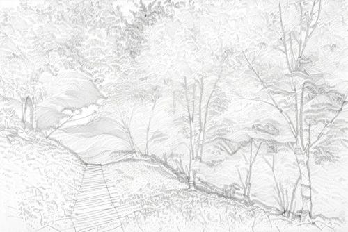 forest landscape,brook landscape,birch forest,birch tree illustration,forest background,temperate broadleaf and mixed forest,forests,larch forests,mountain scene,riparian forest,meadow and forest,rural landscape,landscape background,fir forest,deciduous forest,small landscape,the forests,landscape plan,coniferous forest,foliage coloring,Design Sketch,Design Sketch,Hand-drawn Line Art