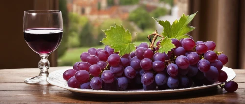 purple grapes,red grapes,table grapes,wine grape,grape-hyacinth,fresh grapes,grape seed extract,grapes,blue grapes,grape juice,wine grapes,grape hyancinths,grapes icon,grape hyacinths,grape hyacinth,bright grape,to the grape,vineyard grapes,grape turkish,grape vine,Photography,Documentary Photography,Documentary Photography 26